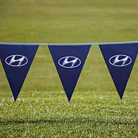 Pennants PVC Digital Double Sided Triangle