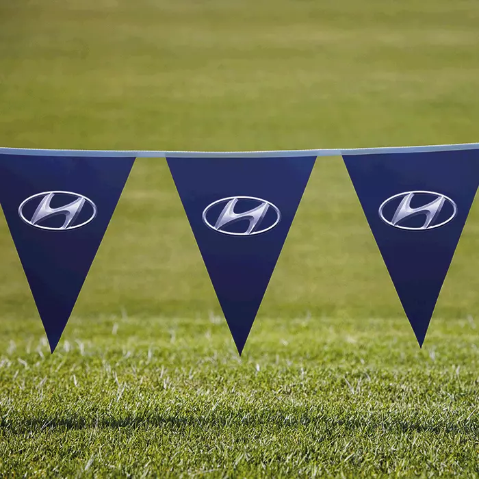 Pennants PVC Digital Double Sided Triangle