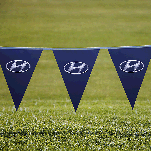 Pennants PVC Digital Single Sided Triangle