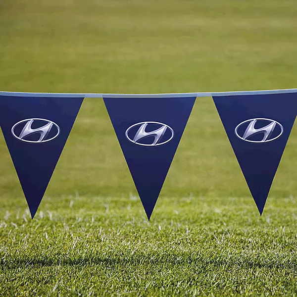 Pennants PVC Digital Single Sided Triangle