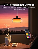 Govee RGBICWW Pendant light