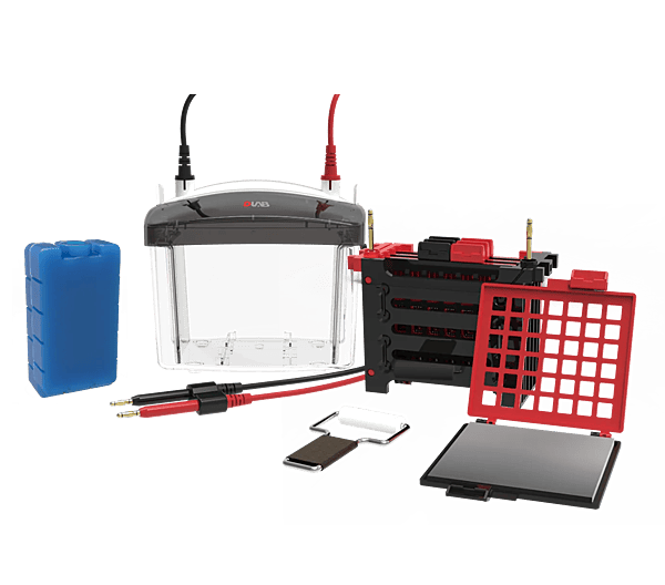 DL-ZY04 Transfer electrophoresis tank