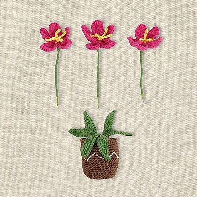 Kit Amigurumi DMC - Flower Pot