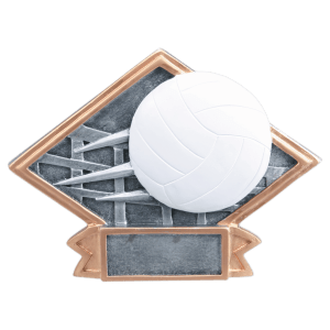 Diamond Plate Resin Trophy-Volleyball-6 x 4.5