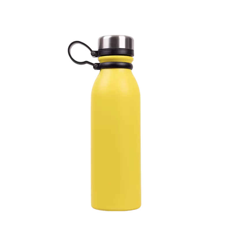 Botella Everest 550ml