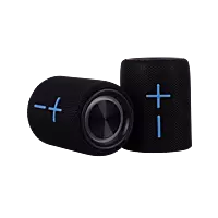 Parlante Dual