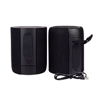 Parlante Dual