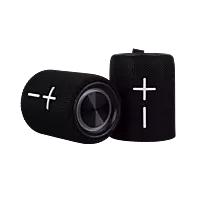 Parlante Dual