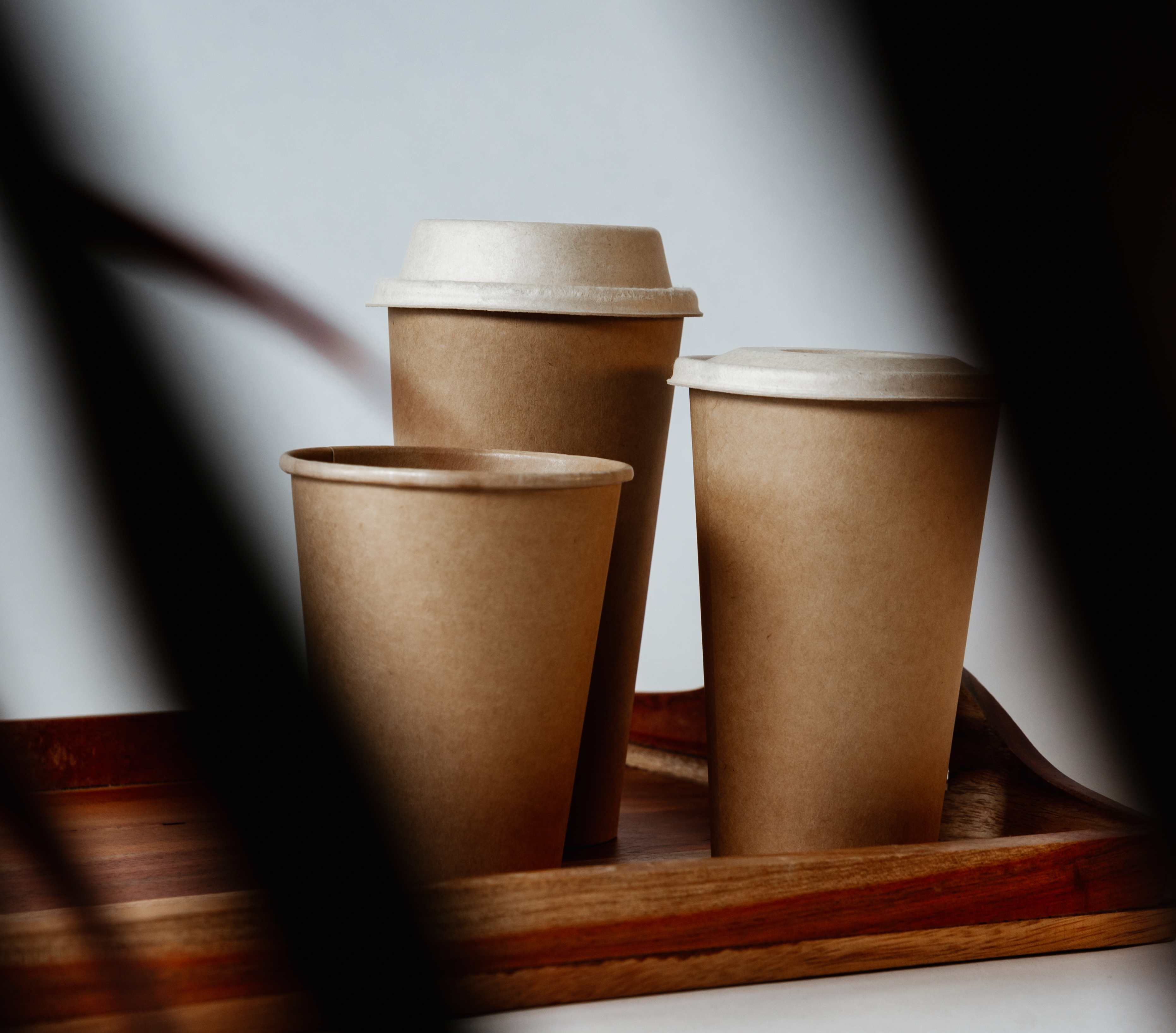 Paper Cup: 1000 Ct Case
