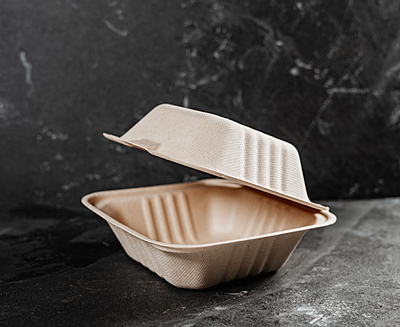 6" Bagasse Hamburger Box: 500 Ct Case