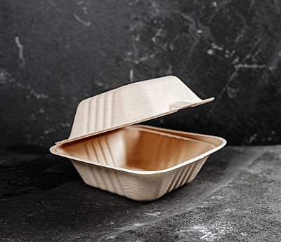 6" Bagasse Hamburger Box: 500 Ct Case