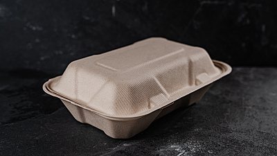 6" Bagasse Hamburger Box: 500 Ct Case