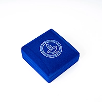Silver Coin - IITM