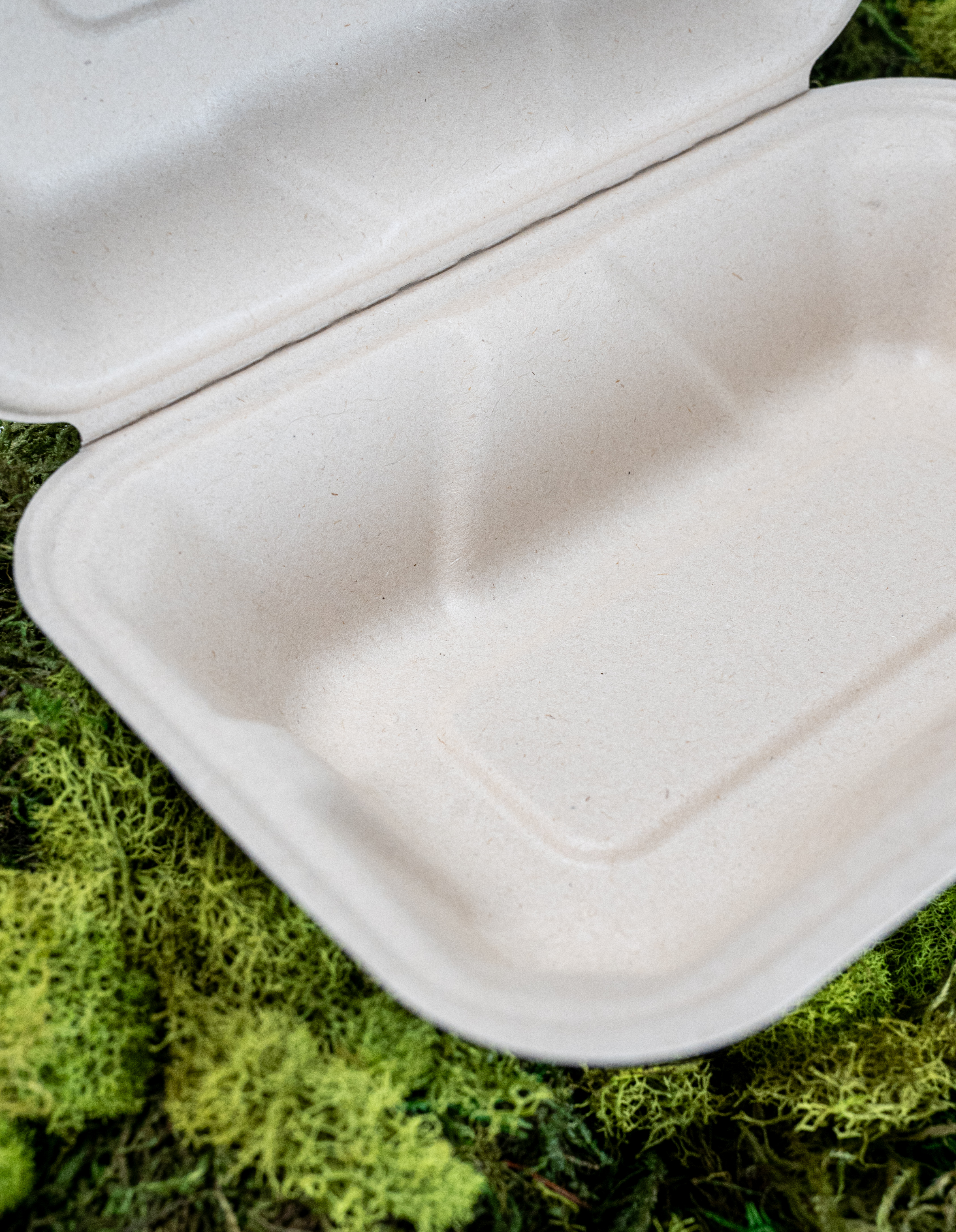 Clamshell 9"x6" - 200