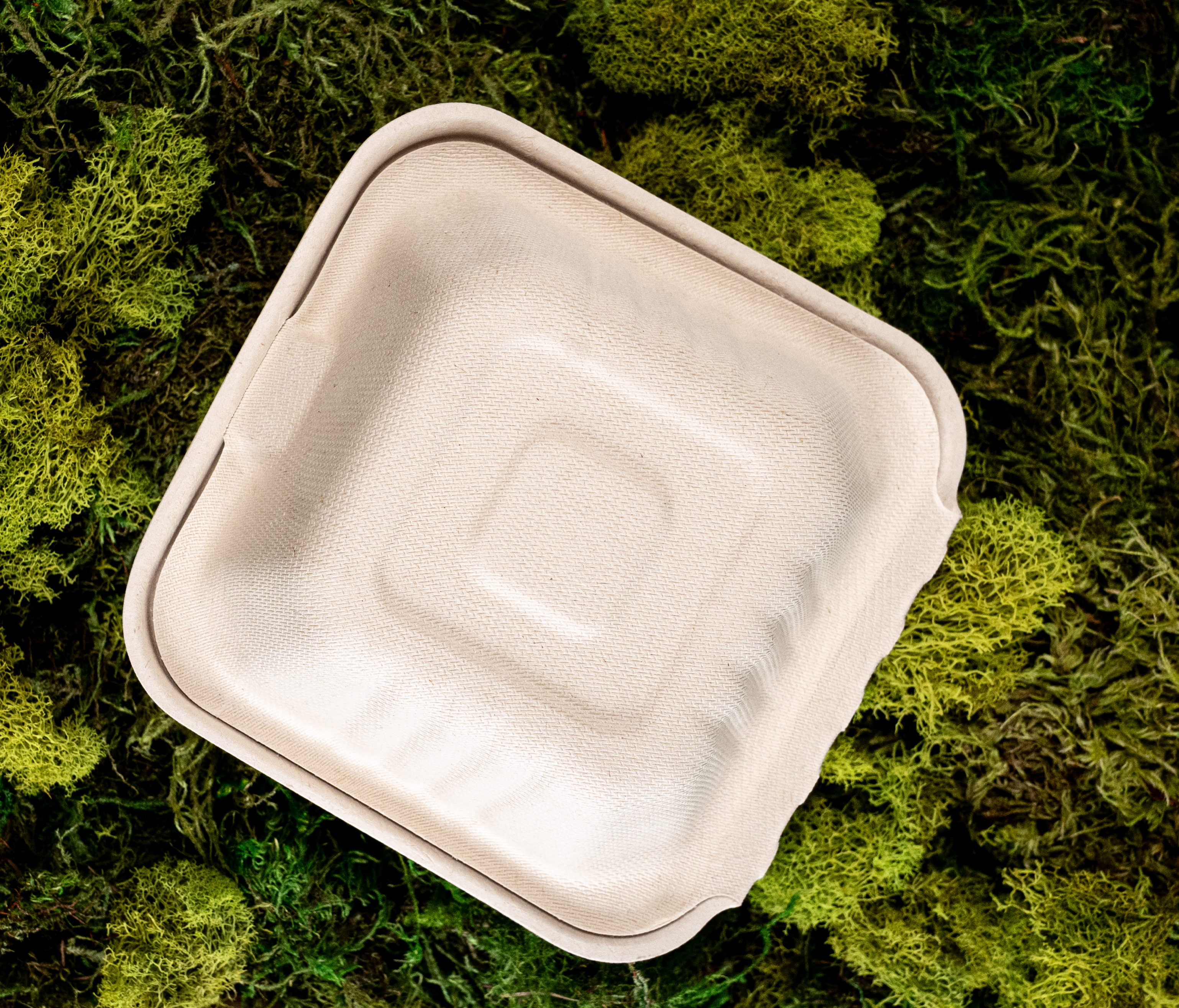 6" Bagasse Hamburger Box: 500 Ct Case