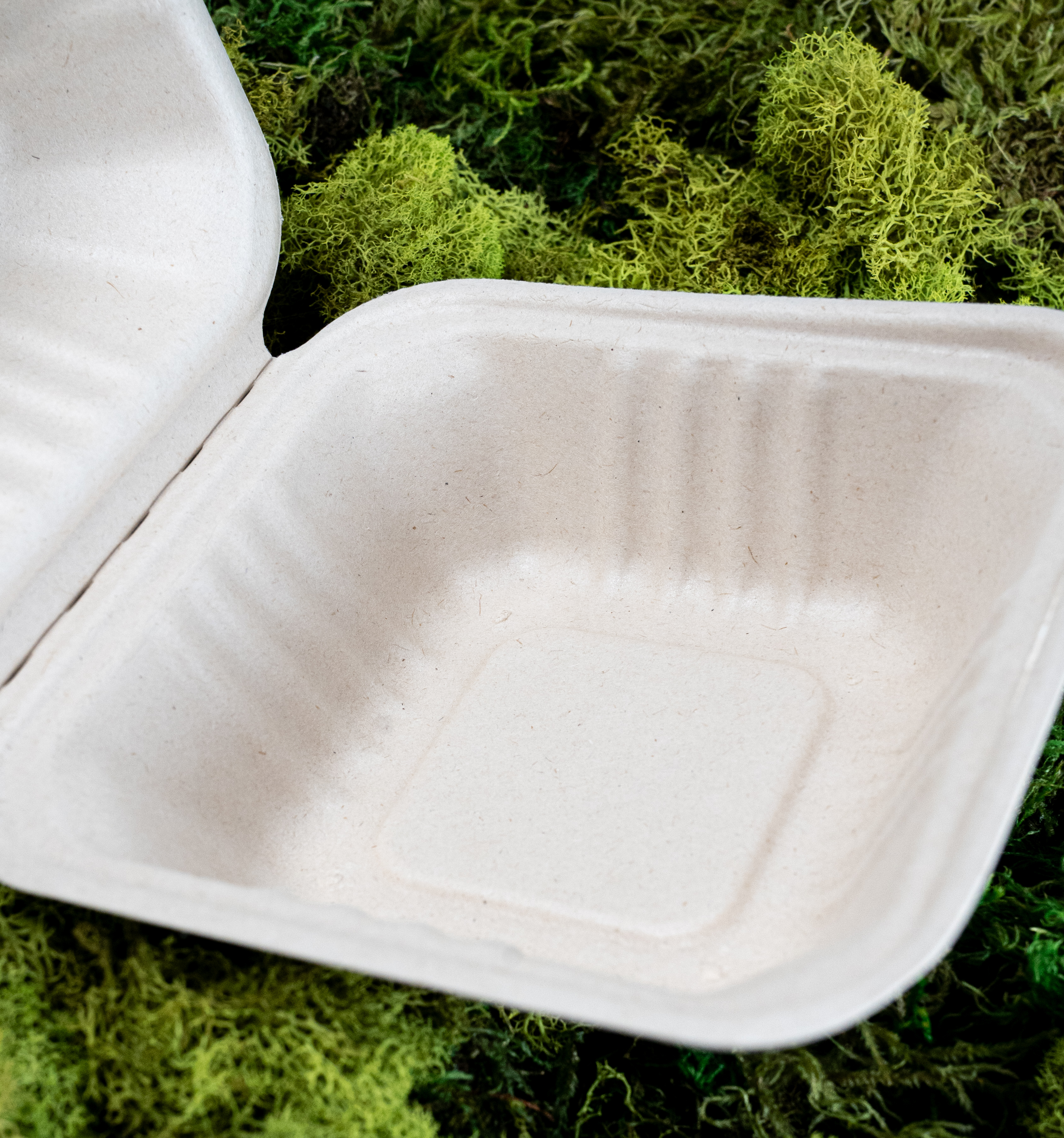 6" Bagasse Hamburger Box: 500 Ct Case