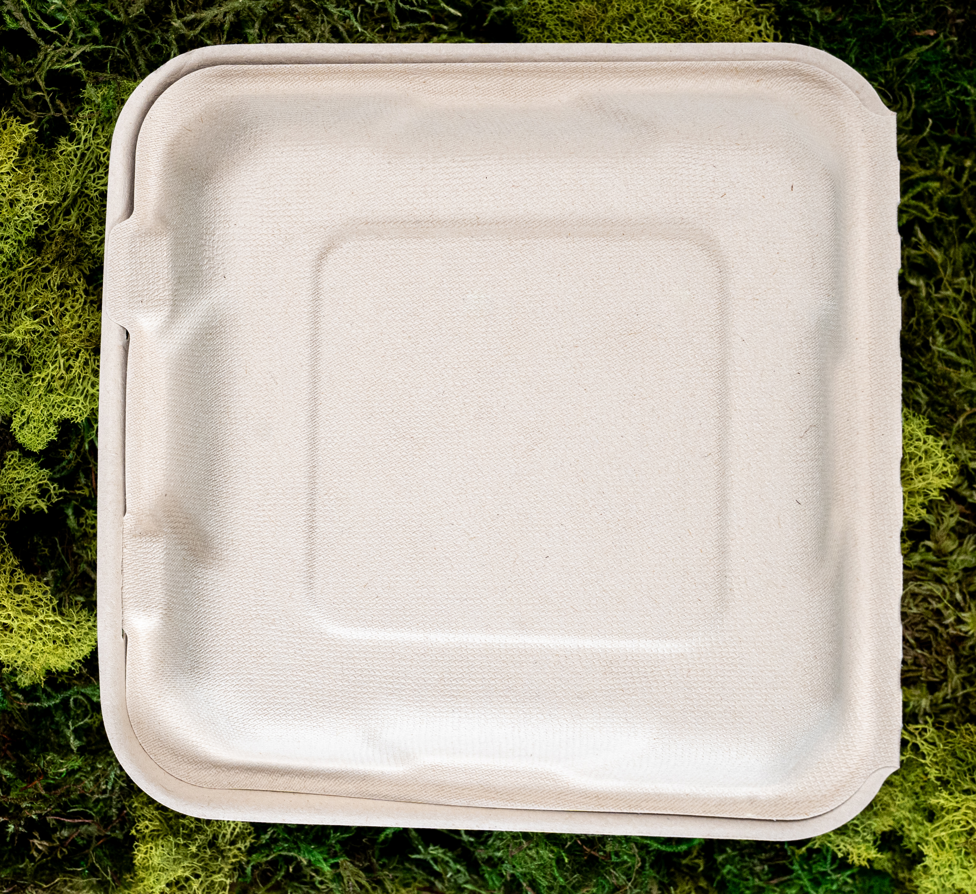 3 -Compartment Clamshell