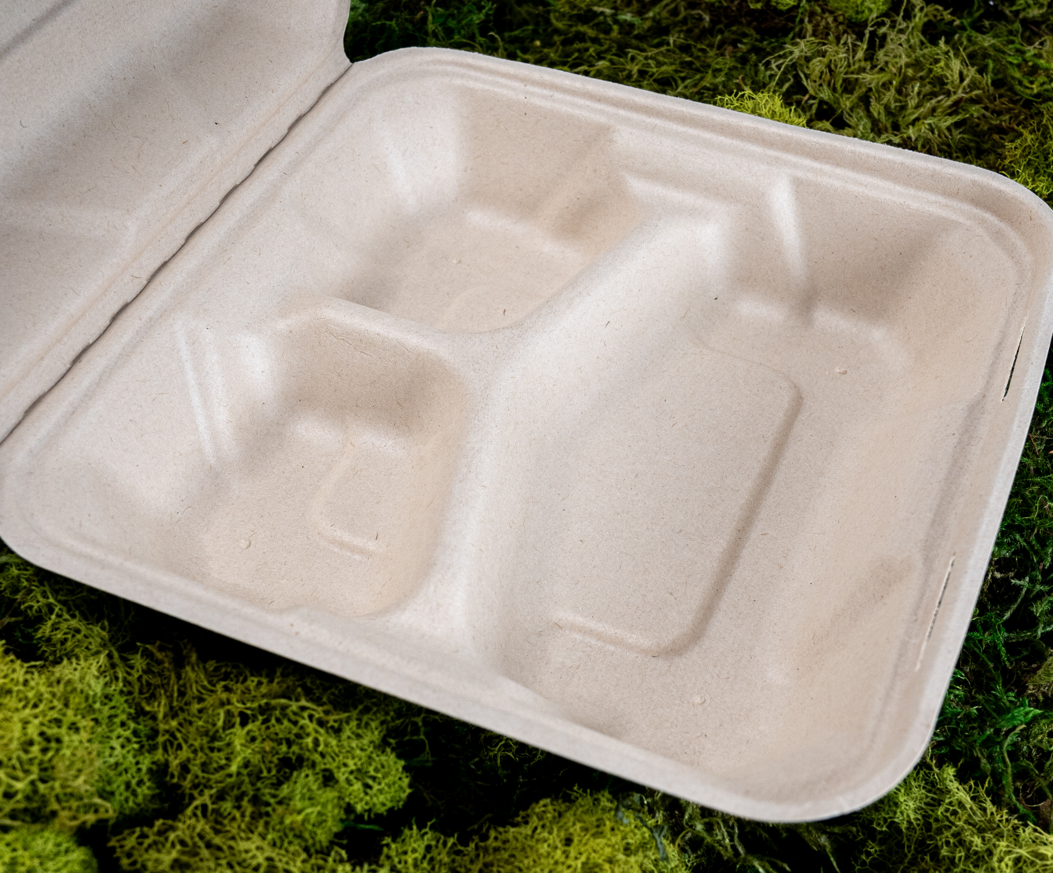 3 -Compartment Clamshell