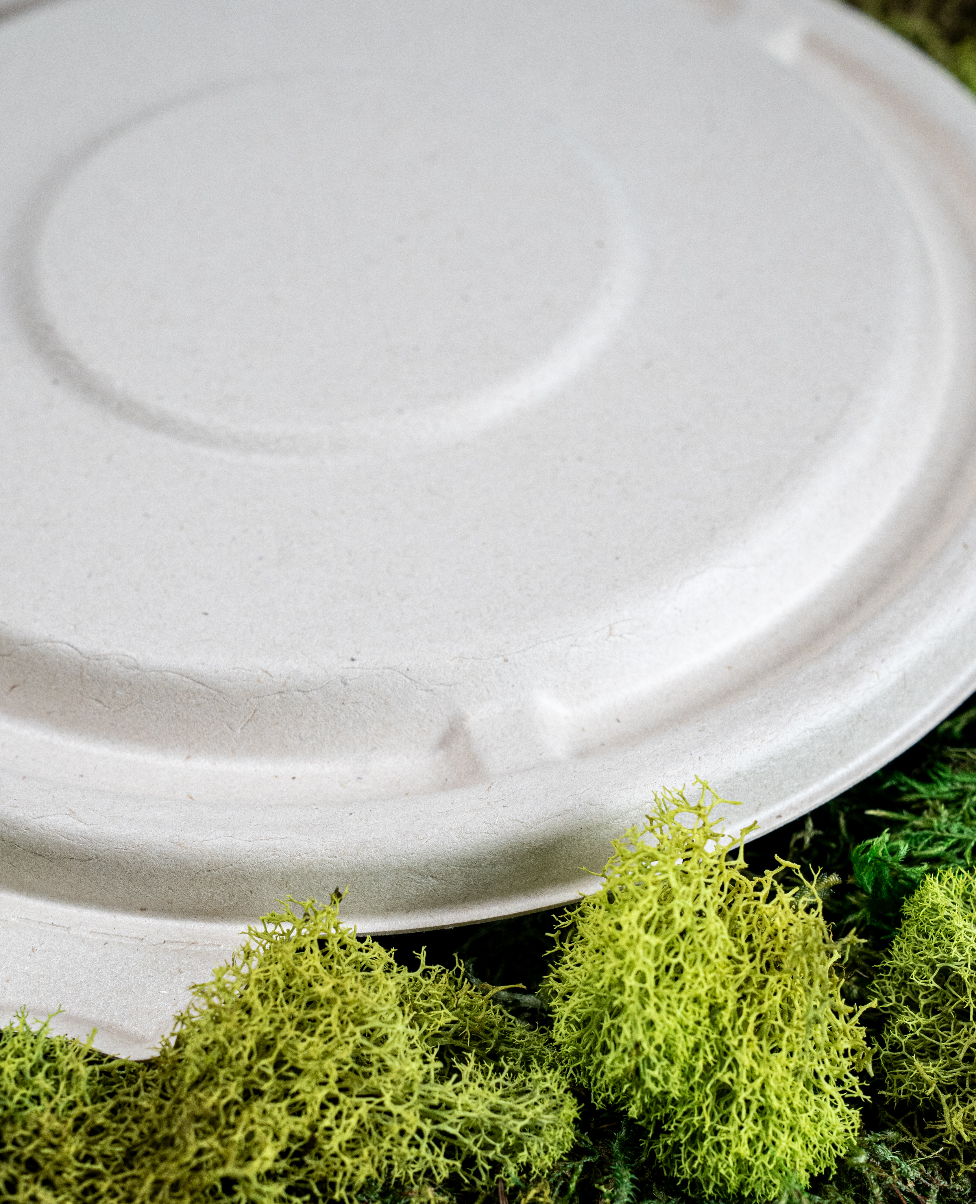 Bagasse Lid: 400 Ct Case Bagasse Lid: 400 Ct Case