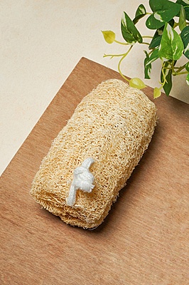 LOOFA (CYLINDER SHAPE)