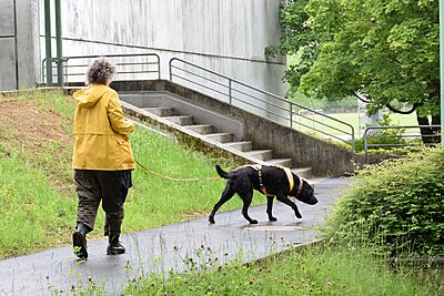 13.09.2026 Mantrailing Basis-Workshop nach der Philosophie NaBased® Mantrailing 13.09.2026 Mantrailing Basis-Workshop nach der Philosophie NaBased® Mantrailing