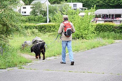 01.03.2026 Mantrailing Basis-Workshop nach der Philosophie NaBased® Mantrailing 01.03.2026 Mantrailing Basis-Workshop nach der Philosophie NaBased® Mantrailing