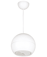 DSP107-White DSP107-White