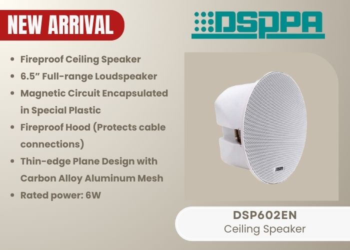 DSP602EN- 6.5" - 6W