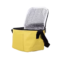 Cooler 20x12x14