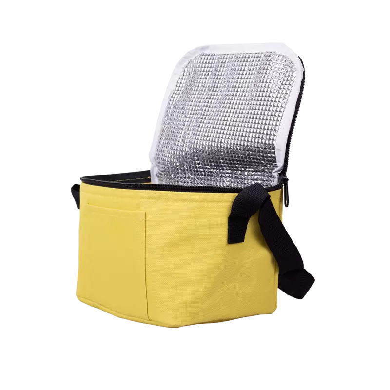 Cooler 20x12x14
