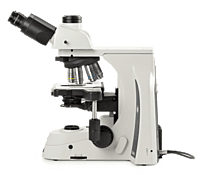 Delphi-X Observer