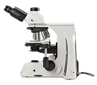 Delphi-X Observer