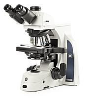 Delphi-X Observer