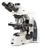 Delphi-X Observer