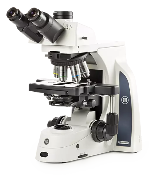 Delphi-X Observer