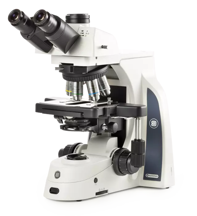 Delphi-X Observer