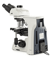 Delphi-X Observer