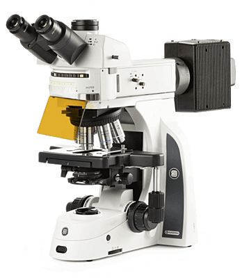 Delphi-X Observer fluorescence