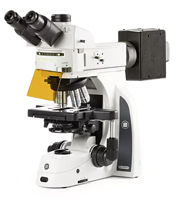 Delphi-X Observer fluorescence