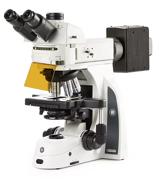 Delphi-X Observer fluorescence