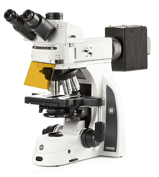 Delphi-X Observer fluorescence