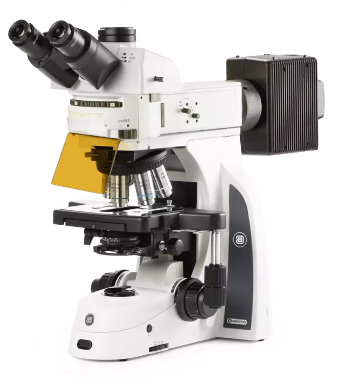 Delphi-X Observer fluorescence