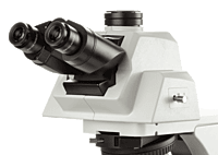 Delphi-X Observer