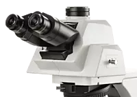 Delphi-X Observer