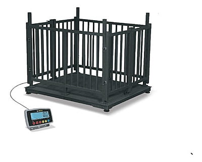 Plataforma Ganado Menor 800 kg Plataforma Ganado Menor 800 kg