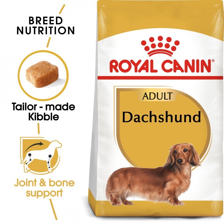 Royal Canin Breed Health Nutrition Dachshund Adult 1.5KG Royal Canin Breed Health Nutrition Dachshund Adult 1.5KG