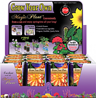Dahlia Flower Growing Kit