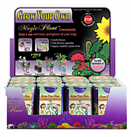 Dance With Me Plant Growing Kit