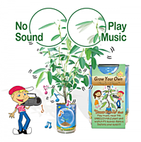Dance With Me Plant Growing Kit