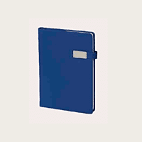 Red Diary BB46 Red Diary BB46